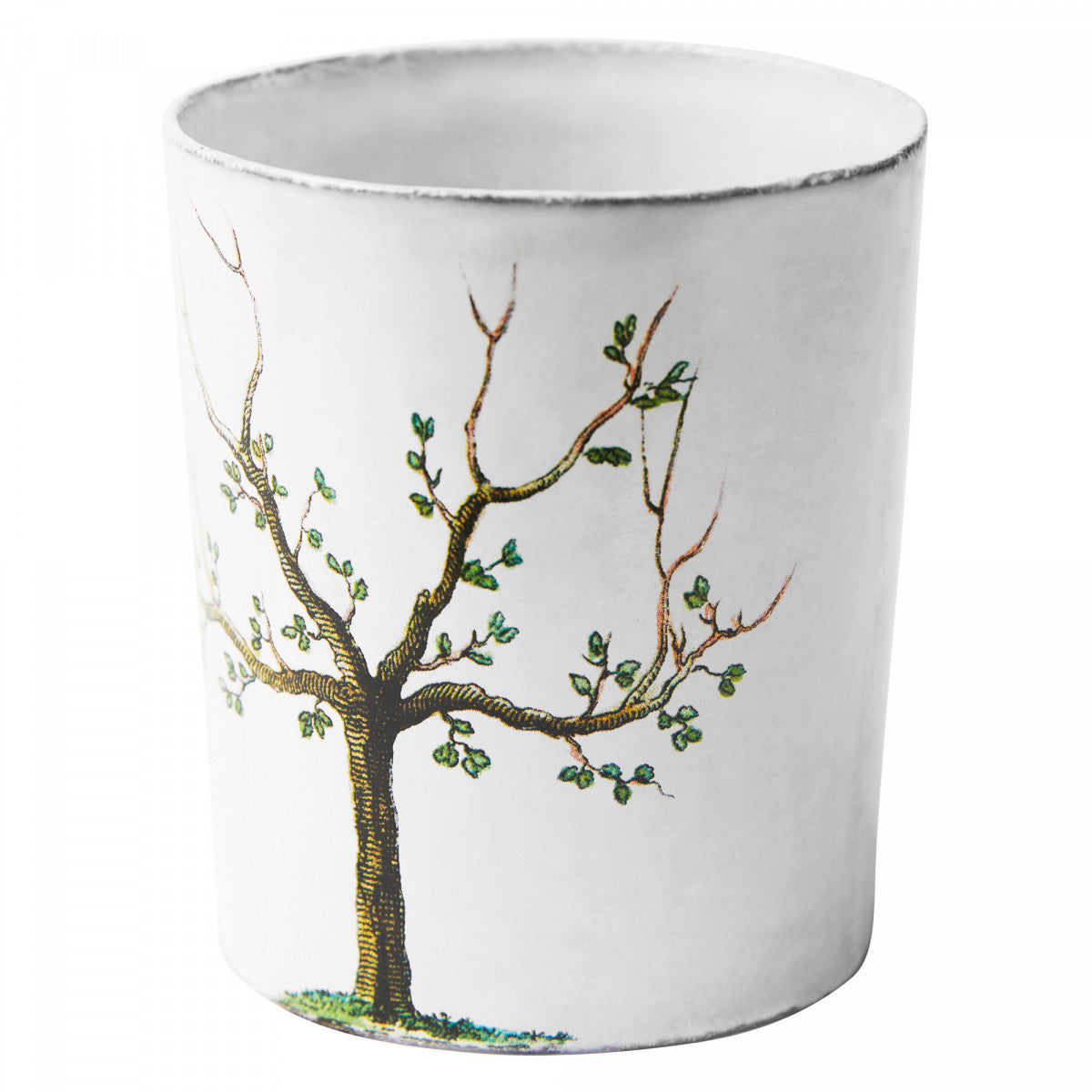 Pear Tree V Cup, John Derian, set of 3 by Astier de Villatte
