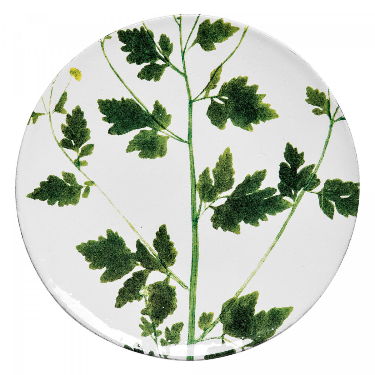 John Derian Medium Matricaria Plate, set of 6 by Astier de Villatte, official product view