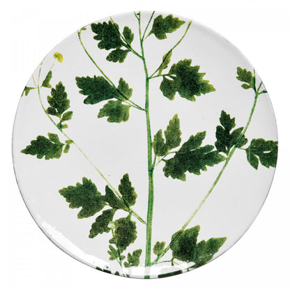 John Derian Medium Matricaria Plate, set of 6 by Astier de Villatte, official product view