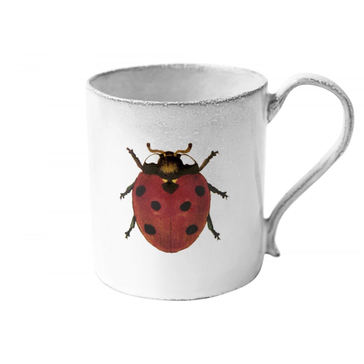Ladybug Mug, John Derian, set of 3 by Astier de Villatte