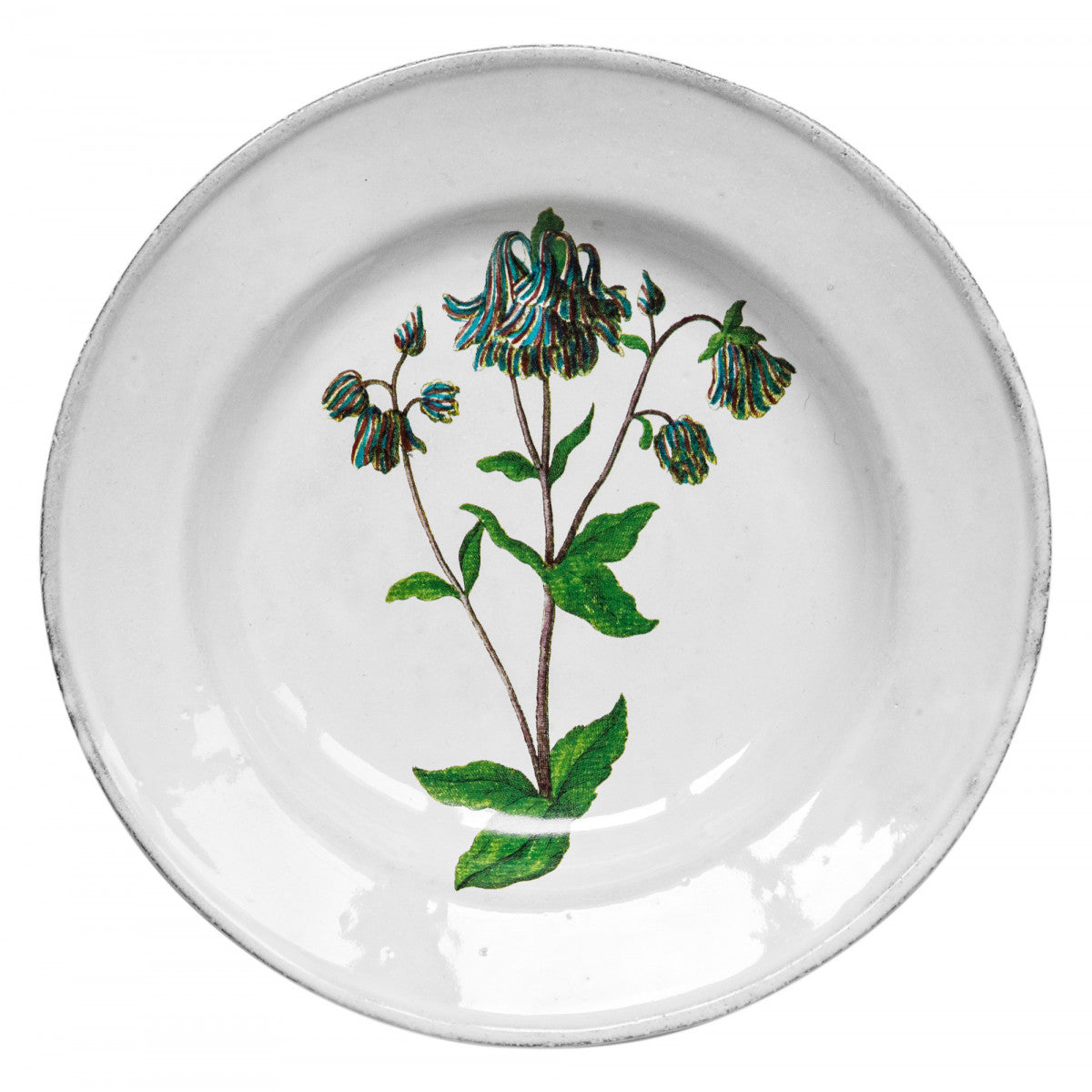 John Derian Columbine Flower Soup Plate, set of 6 by Astier de Villatte, official product view