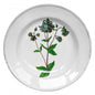 John Derian Columbine Flower Soup Plate, set of 6 by Astier de Villatte, official product view