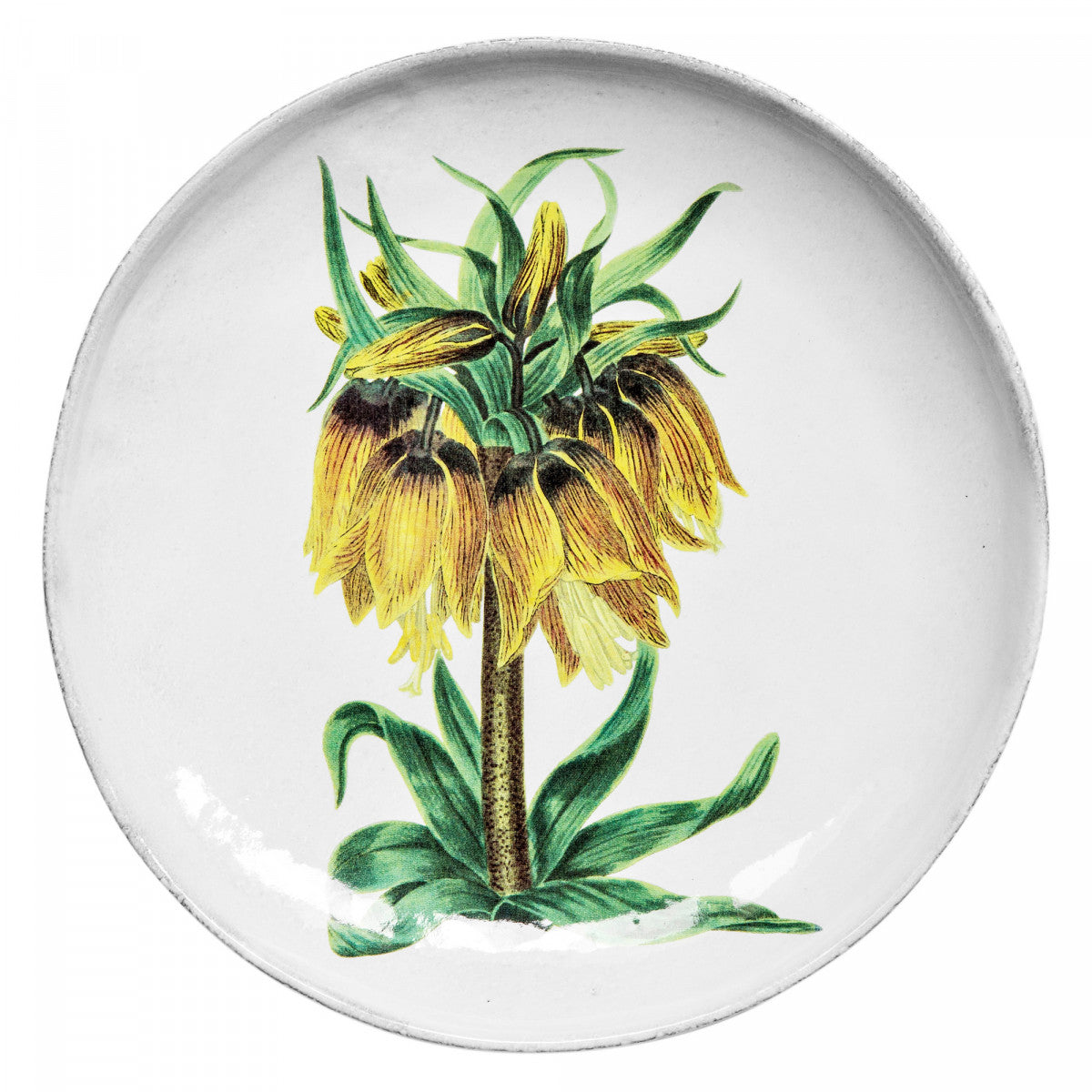 John Derian Yellow Flower Dinner Plate, set of 6 by Astier de Villatte, official product view