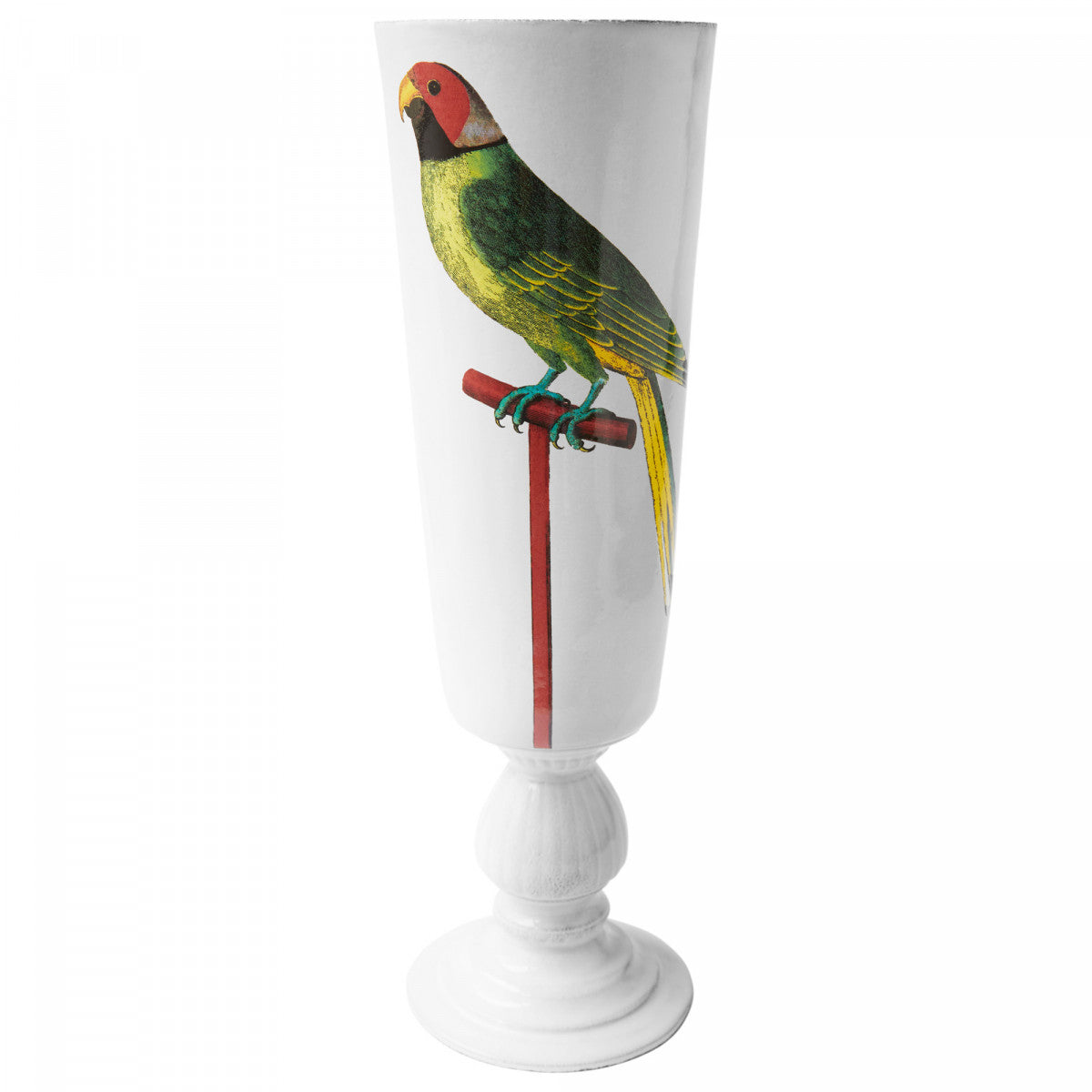 Albin Fridatutah Bengal Parrot Vase by Astier de Villatte
