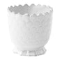 Pangolin Egg Cup by Astier de Villatte, official product view
