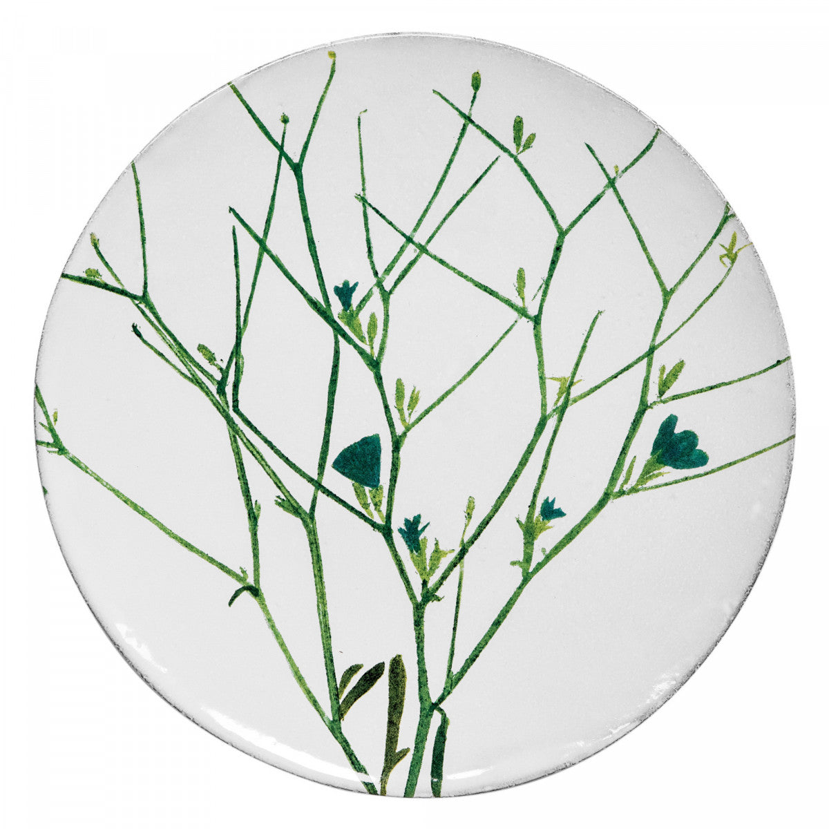John Derian Medium Cichorium Plate, set of 6 by Astier de Villatte, official product view