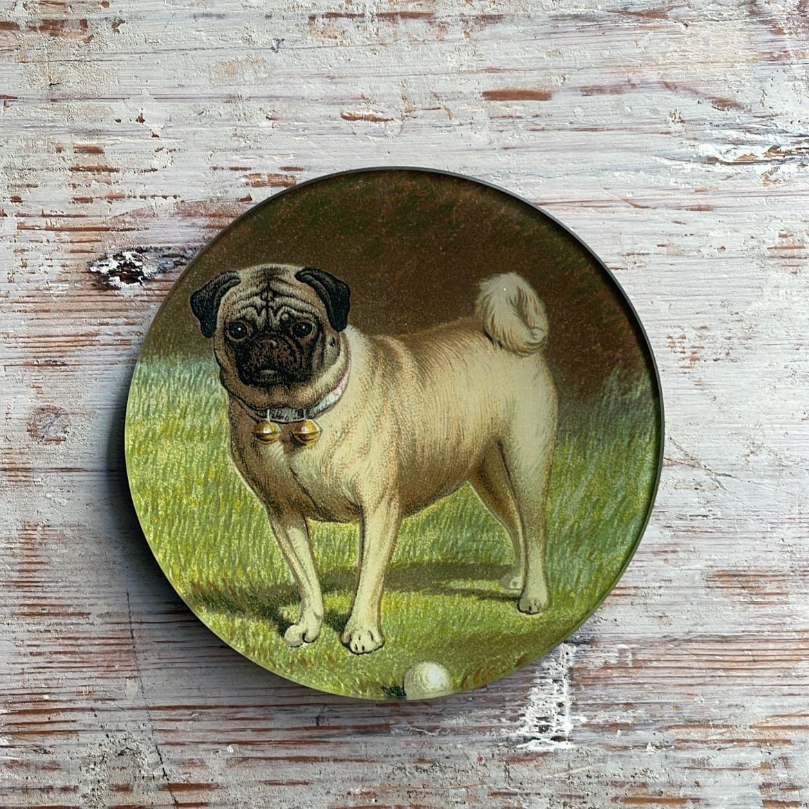 Pug & Ball | John Derian - Bon Ton goods