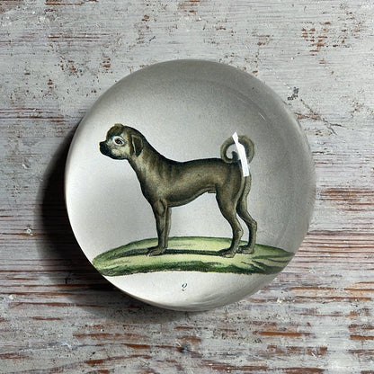 Pug Dog Standing | John Derian - Bon Ton goods