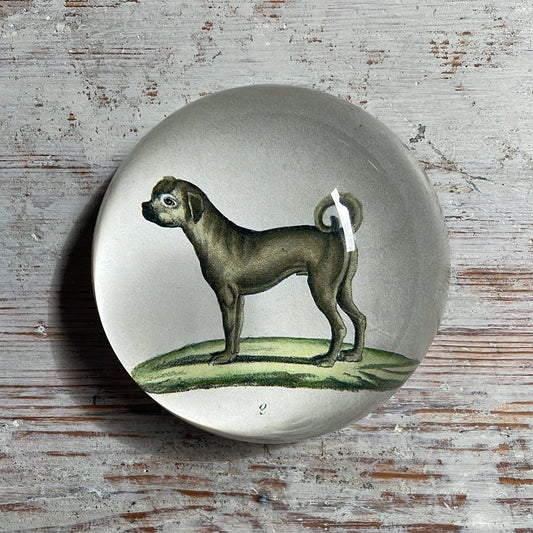 Pug Dog Standing | John Derian - Bon Ton goods