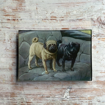 Pugs | John Derian - Bon Ton goods