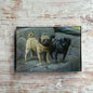 Pugs | John Derian - Bon Ton goods