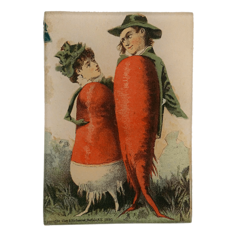 Radishing Couple | John Derian - Bon Ton goods