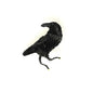Raven Brooch Pin | Trovelore - Bon Ton goods