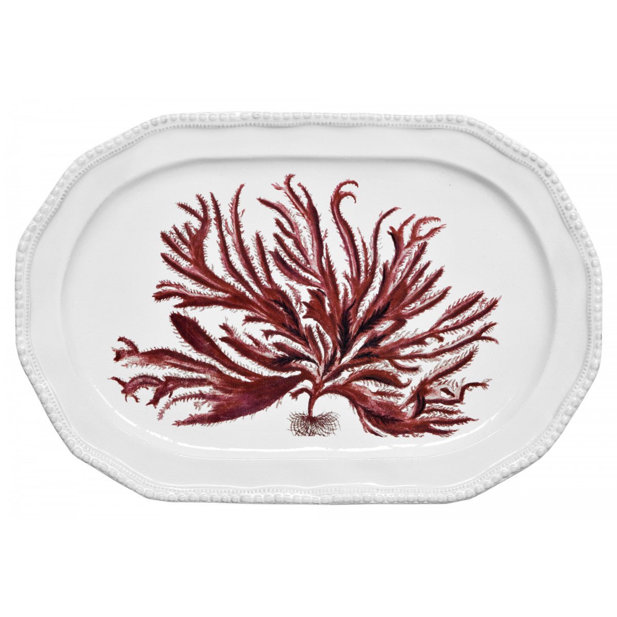 Red Seaweed Platter by Astier de Villatte, view 1