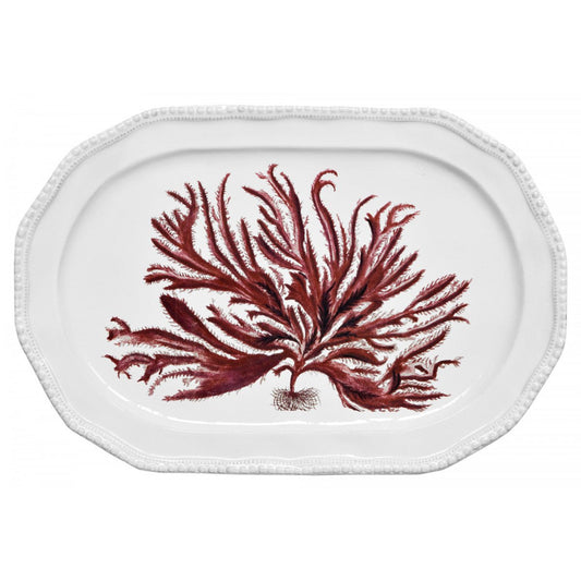 Red Seaweed Platter | Astier de Villatte: Exclusive Pre-Order Item - Bon Ton goods