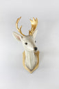 Roe Deer Mount 1: Exclusive Pre-Order - Bon Ton goods
