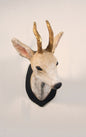Roe Deer Mount 2: Exclusive Pre-Order - Bon Ton goods