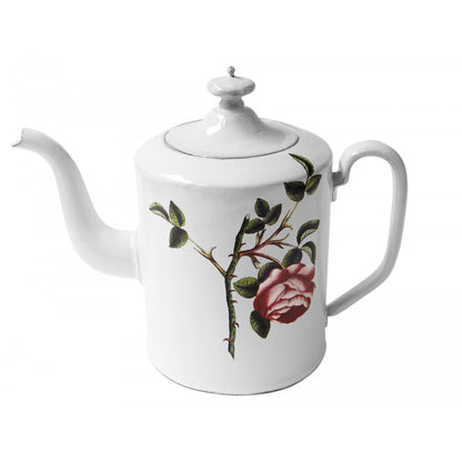 Rosa Centilolia Teapot, John Derian by Astier de Villatte, view 1