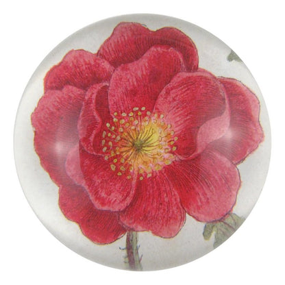 Rosa Rubra - Dome Paperweight | John Derian - Bon Ton goods