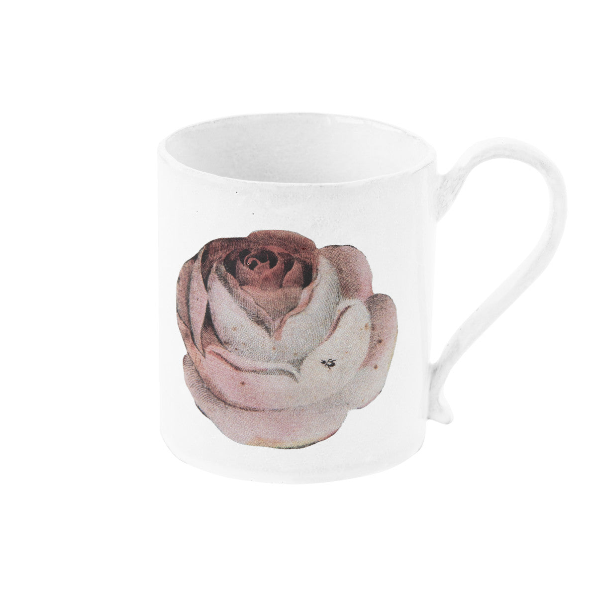 Rose and Insect Mug, John Derian, set of 3 by Astier de Villatte