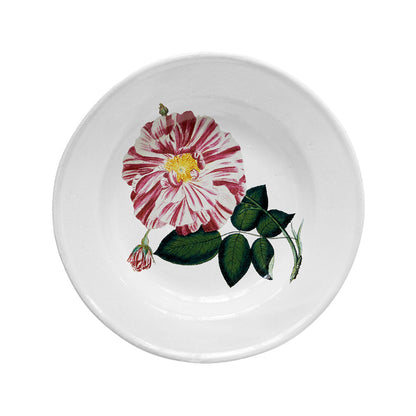 John Derian Rose Banco Soup Plate, set of 6 by Astier de Villatte, official product view