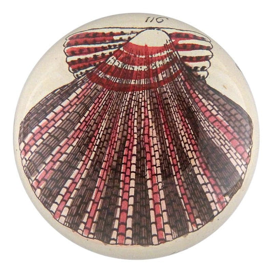 Scallop 116 - Dome Paperweight | John Derian - Bon Ton goods
