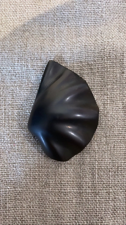 Scallop Shell Pin - Bon Ton goods