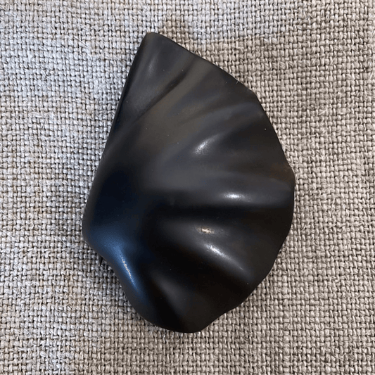 Scallop Shell Pin | Ted Muehling - Bon Ton goods