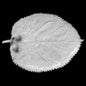 Setsuko Blackberry Leaf Ornament - Bon Ton goods
