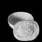 Setsuko Box with Roses | Astier de Villatte - Bon Ton goods