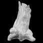 Setsuko Large Tree Vase | Astier de Villatte: Exclusive Pre-Order Item - Bon Ton goods