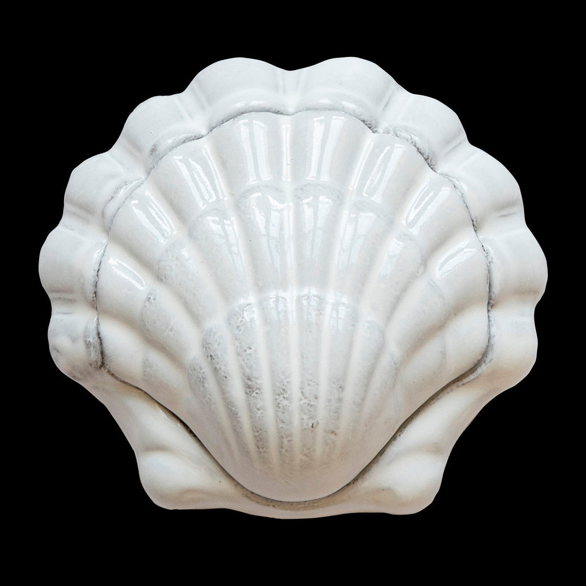 Shell Coquillage Box | Astier de Villatte - Bon Ton goods