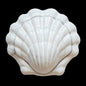 Shell Coquillage Box | Astier de Villatte - Bon Ton goods