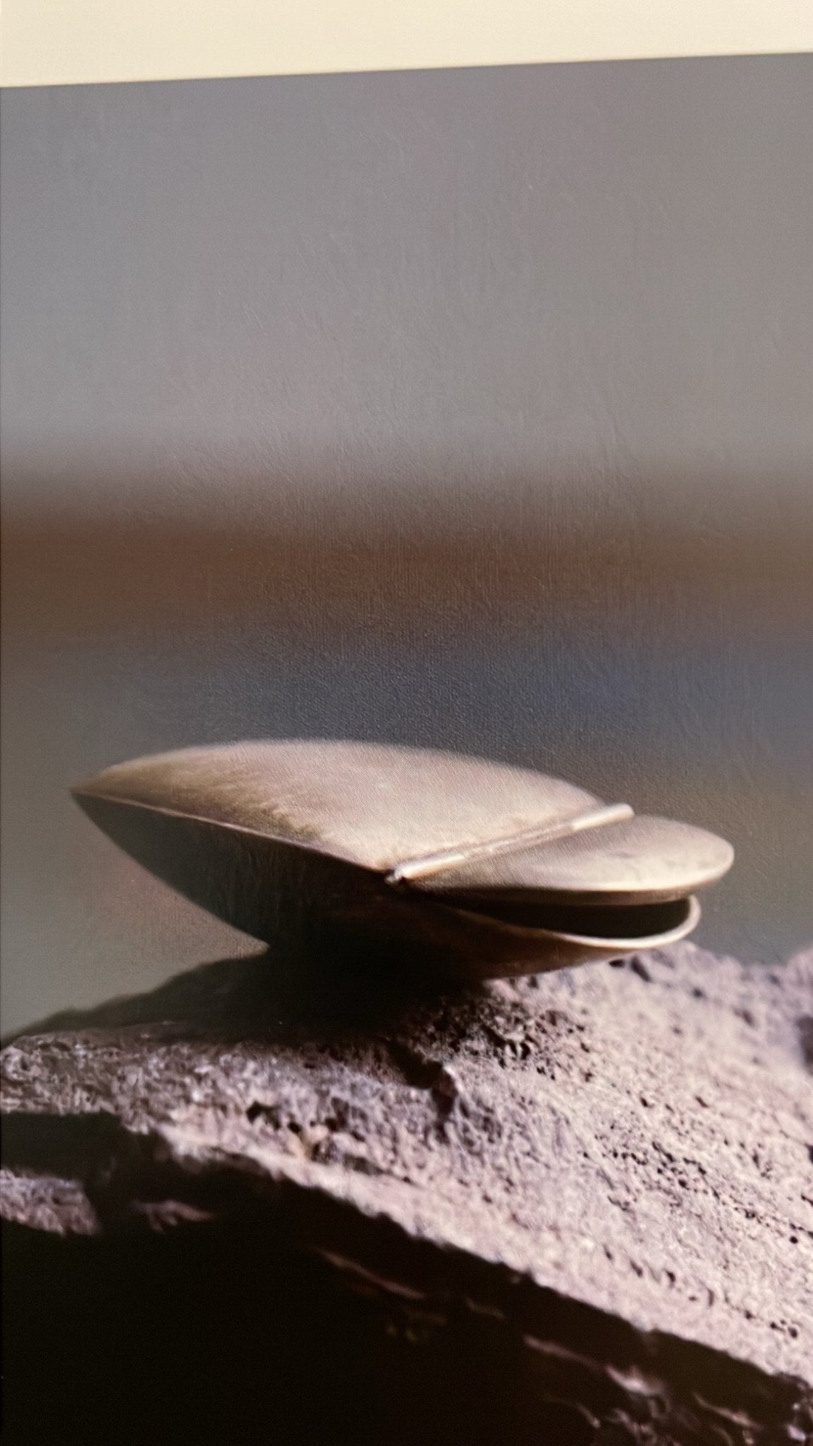 Silver Tortoise Pill Box - Bon Ton goods