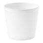 Simple Tea Cup without Handle, set of 6 by Astier de Villatte