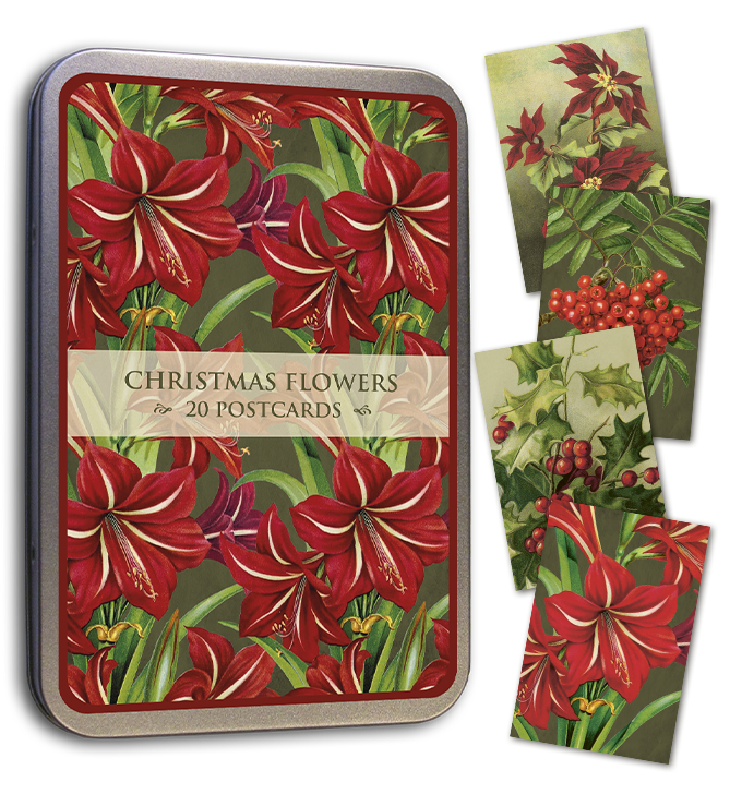 Christmas Flowers tin and botanical postcards