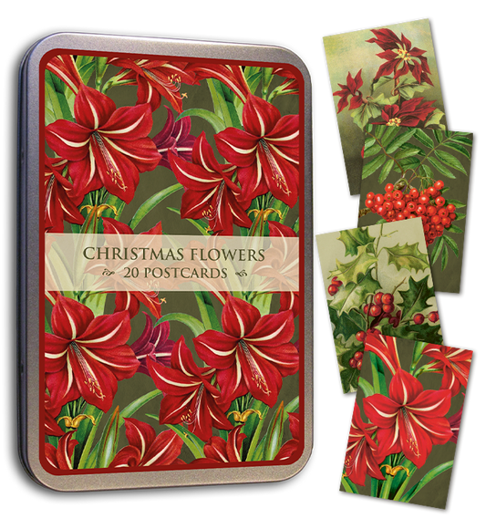 Christmas Flowers tin and botanical postcards