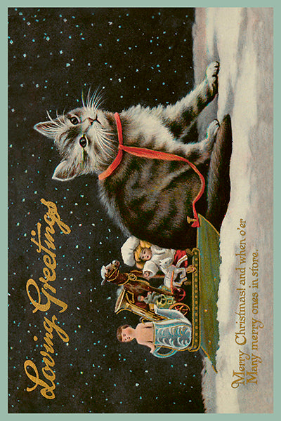 Cat watching a snowy Christmas scene