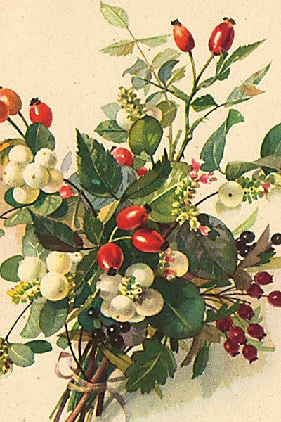 Vintage winter berries and white flowers