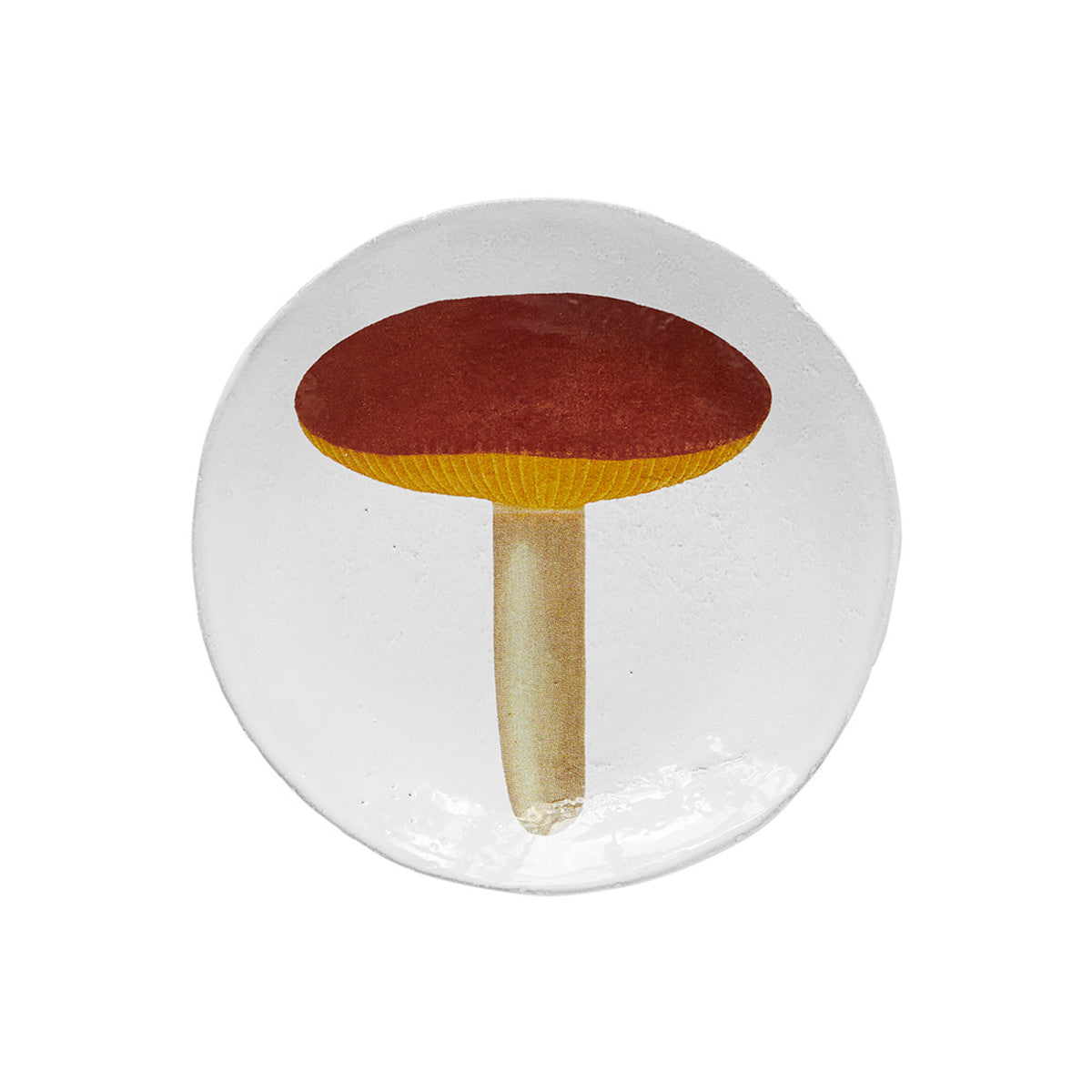 John Derian Small Agaric Alutace Plate, set of 6 by Astier de Villatte, official product view