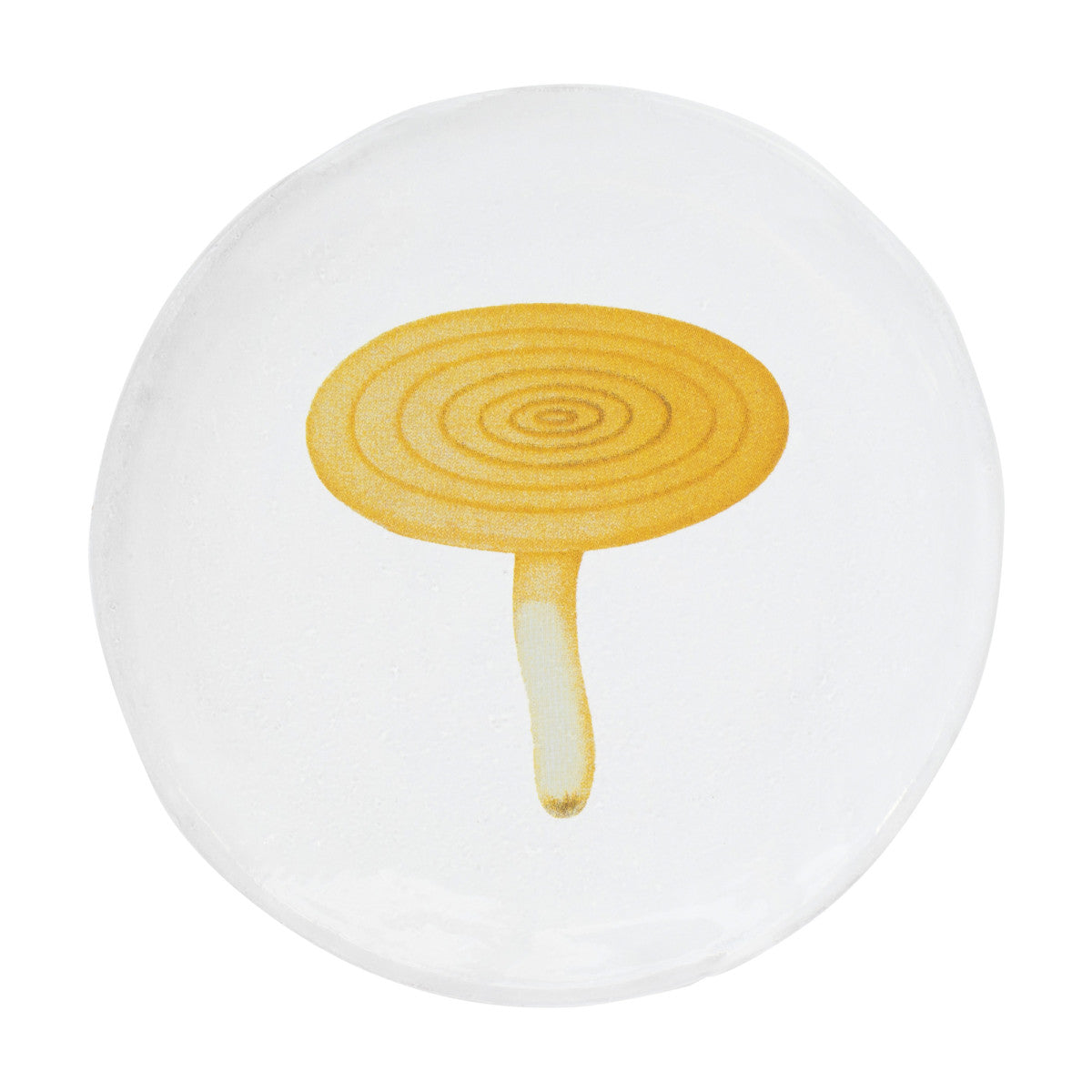 John Derian Small Agaric Caustique Plate by Astier de Villatte, official product view