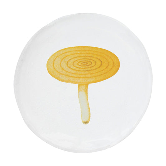 John Derian Small Agaric Caustique Plate by Astier de Villatte, official product view