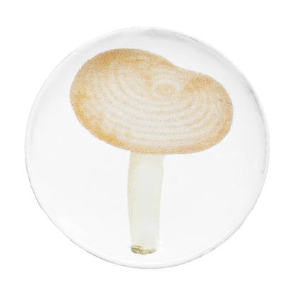 John Derian Small Agaric Meurtrier Plate by Astier de Villatte, official product view