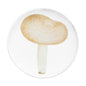John Derian Small Agaric Meurtrier Plate by Astier de Villatte, official product view