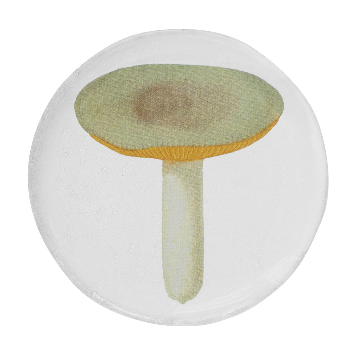 John Derian Small Agaric Sapid Plate by Astier de Villatte, official product view