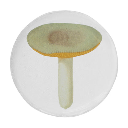 John Derian Small Agaric Sapid Plate by Astier de Villatte, official product view