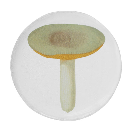 John Derian Small Agaric Sapid Plate by Astier de Villatte, official product view
