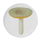 John Derian Small Agaric Sapid Plate by Astier de Villatte, official product view