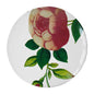 John Derian Small Crimson Rosea Plate, set of 6 by Astier de Villatte, official product view