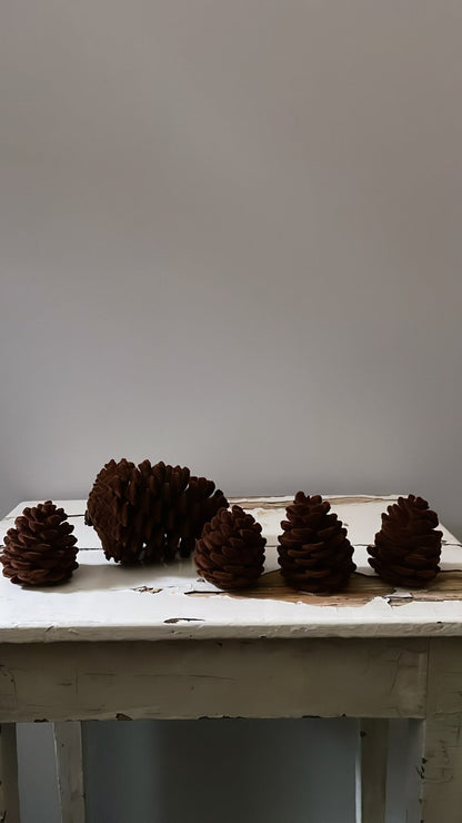 Small Velvet Pinecone - Brown - Bon Ton goods